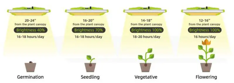 WEICREA -MECH 1000-2000 LED Grow Light for Indoor -Plants-FIG 10