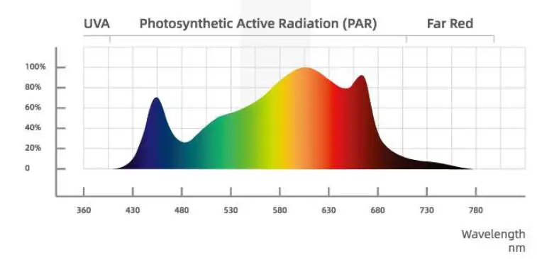WEICREA -MECH 1000-2000 LED Grow Light for Indoor -Plants-FIG 4
