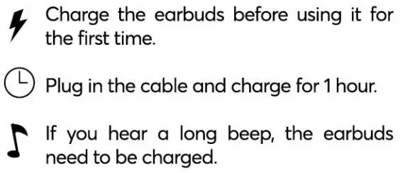 Vibe EB030 True Wireless Earbuds User Guide - Charging the Earbuds