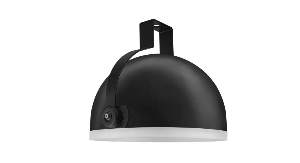 Vizulo Blackbird Scepter Led Street Luminaire Instructions