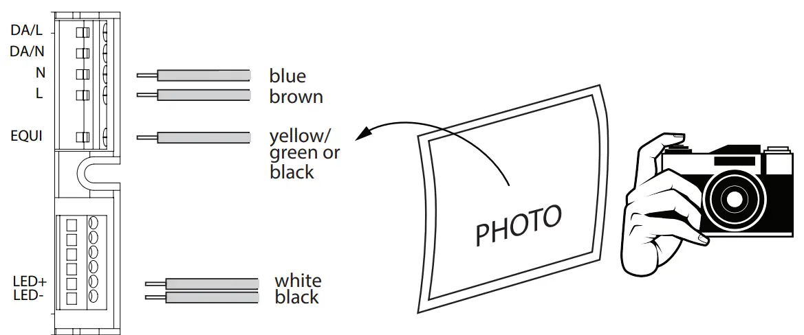 VIZULO Blackbird Scepter LED Street Luminaire fig 16