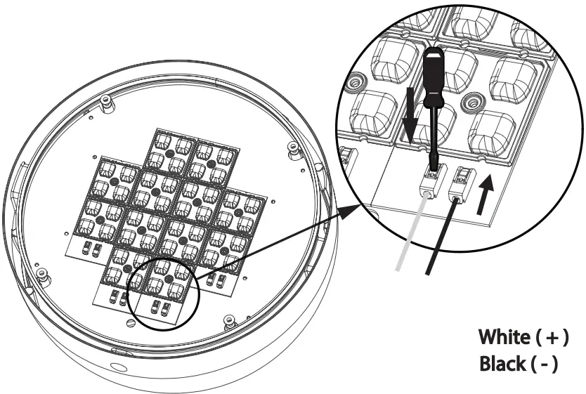 VIZULO Blackbird Scepter LED Street Luminaire fig 5