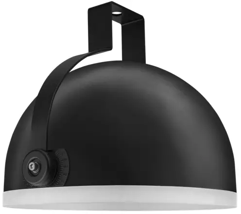 VIZULO Blackbird Scepter LED Street Luminaire