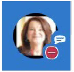 Northland MaX UC Desktop Video Phone Software - fig 11