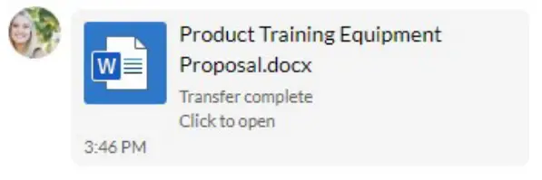 Northland MaX UC Desktop Video Phone Software - fig 33