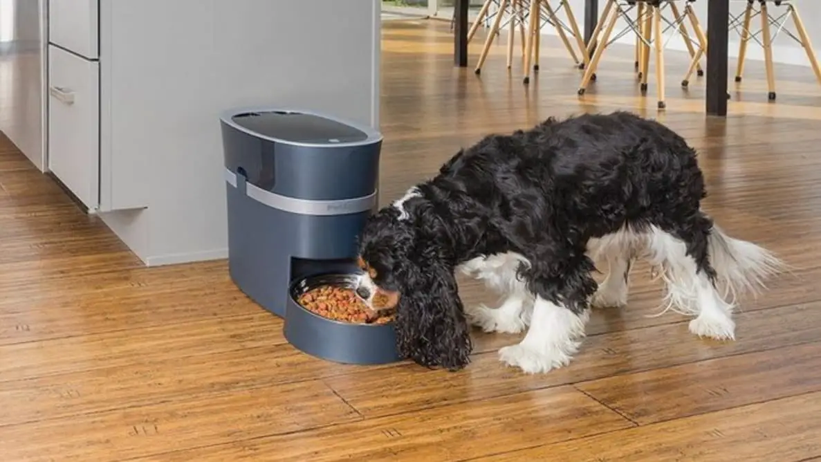 Laserco T4p-feed4l Smart Pet Feeder User Guide