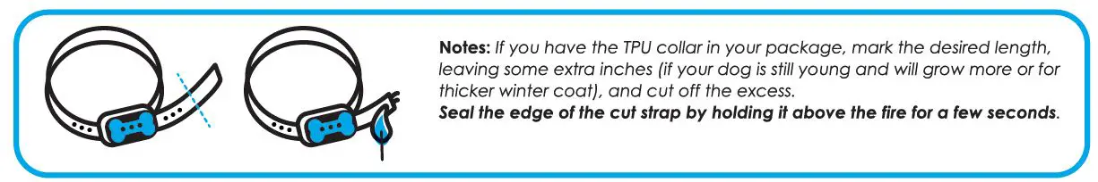 DogRook Dual Vibration Bark Control Collar 8