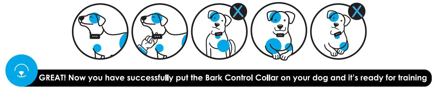 DogRook Dual Vibration Bark Control Collar 9