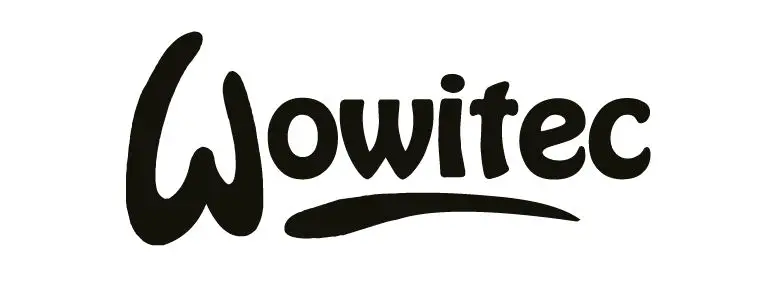 Wowitec H4817 Lark 2 4-Inch 2.4G Foldable Quadcopter with 4K Ultra HD WiFi Camera