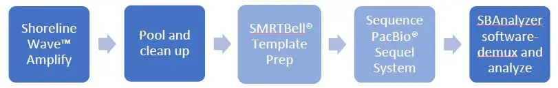 WAVEV19 Shoreline Wave V1-V9 Kit FIG1