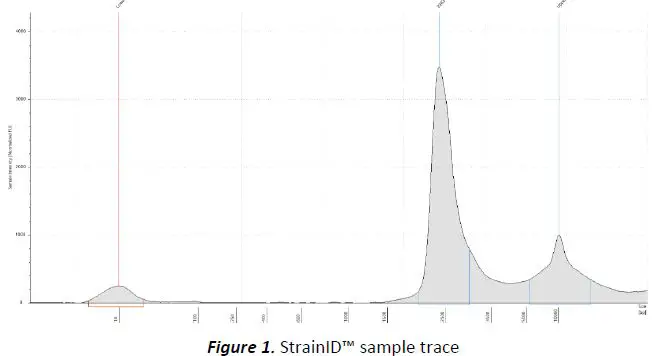 WAVEV19 Shoreline Wave V1-V9 Kit FIG2