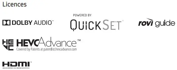 SAMSUNG Smart QLED TV - Company logo