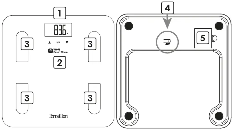 Terraillon-Fit-Coach-Personnel-Digital-Scales-FIG-1