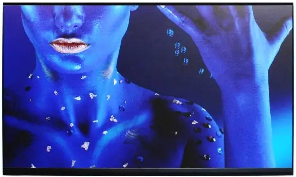 NEC LED-FC009i Direct-View LED Displays-fig1