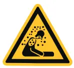 CHAMPION 82001I-DF 2000W Dual Fuel Inverter Generator - icon2