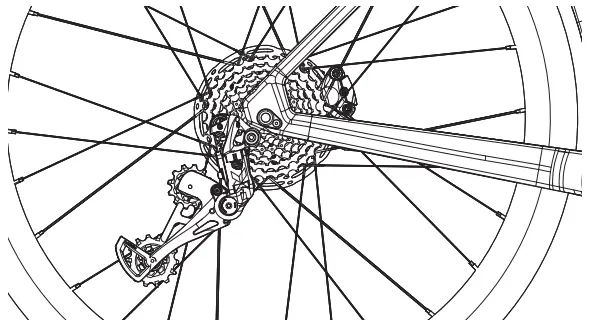 wilier Pulsar ONE Sport Holder - cassette