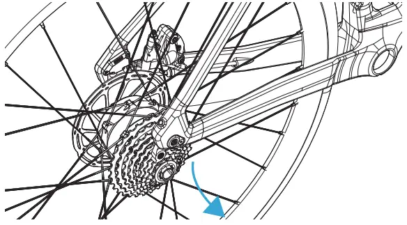 wilier Pulsar ONE Sport Holder - sprocket 3