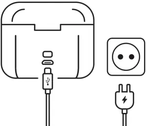 Charging Instructions