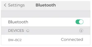 Turn on the bluetooth