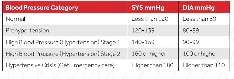 B WELL YK-83C Fingertip Tip Pulse Oximeter-9