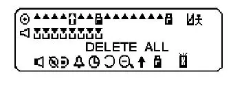 APOLLO -AP-700 -Alphanumeric -Pager -FIG 13