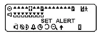 APOLLO -AP-700 -Alphanumeric -Pager -FIG 8