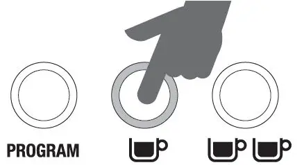 Sage BES875 the Barista Express-19