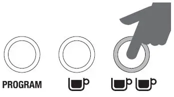 Sage BES875 the Barista Express-37