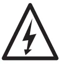 Electric Shock Icon