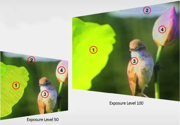 VIEWTEK-LRM-7721-2x7-Inch-HDMI-and-3G-SDI-Rack-Mount-Monitor-fig15