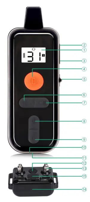 Saulcy-1-Dog-Training-Collar-fIG-1