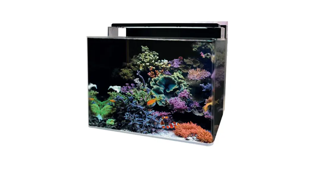 Bluemarine Reef 120 Coral Tank Instruction Manual