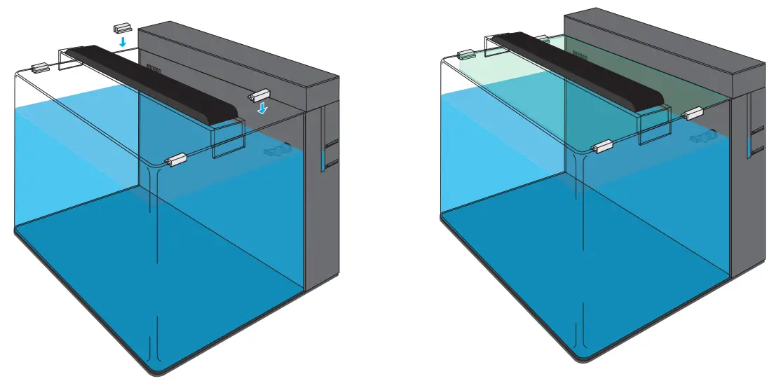 BlueMarine Reef 120 Coral Tank - fig 10