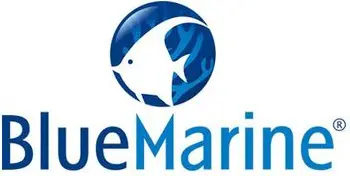 BlueMarine logo