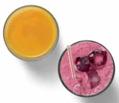 HABITUS HSJ-01 Vertical Slow Juicer - FIg2