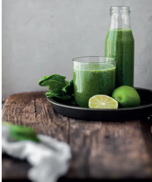 HABITUS HSJ-01 Vertical Slow Juicer - FIg3