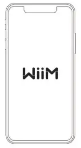 WiiM Mini AirPlay2 Wireless Audio Streamer - fig 1