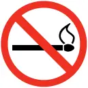 CHAMPION 100485 9200W Electronic Fuel Injection Generator - sambol 11