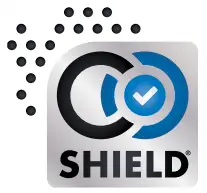 CHAMPION 100485 9200W Electronic Fuel Injection Generator - sambol 2