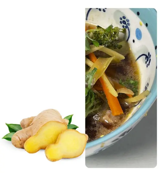 KASANOVA ZGA000001 5 Liter Zega Digital Pot-fig15