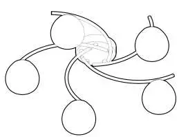 John Lewis Double Glass 5lt Flush Ceiling Light