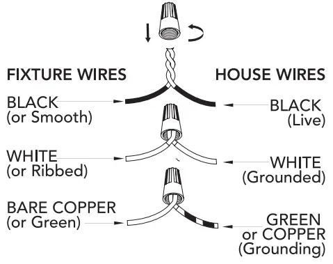 Hunter 19271 2 Light Pendant-FIG5