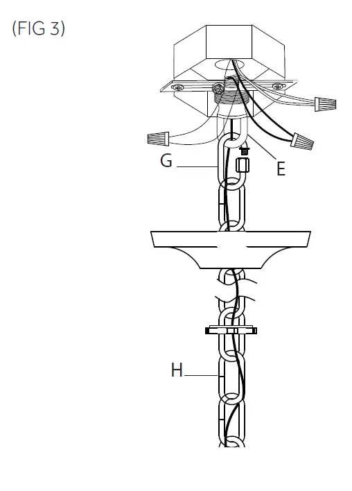 SIGNATURE HARDWARE CARDELLA 479849 Pendant 5