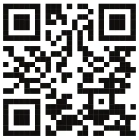 ROCKVILLE BATTERY STRIP 24 - QR code