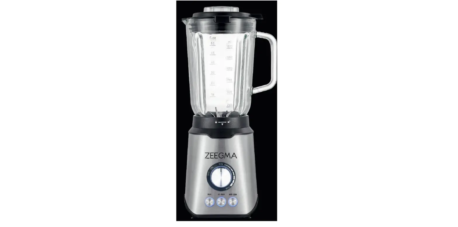 Zeegma Grand Vitamin Multifunction Blender User Manual