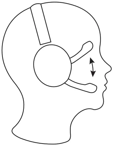 Muting The Microphone