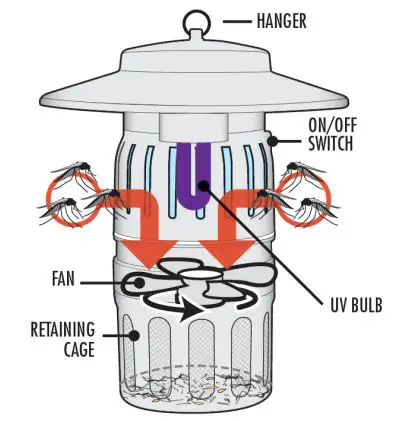 DynaTrap Insect Trap DT1050-CSTCA Owner’s Manual - HOW THE DYNATRAP® MOSQUITO TRAP WORKS