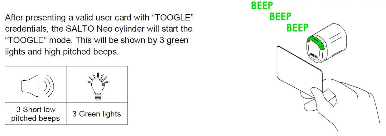 ACCESS GRANTED + TOOGLE