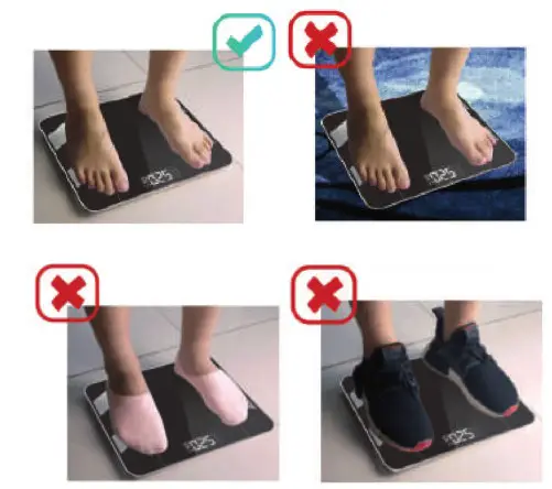 SILVERGEAR 866380 Smart Scale with Body Analysis App - How to use fidays 3