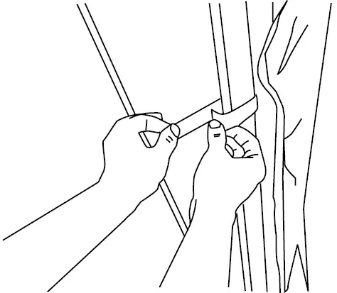 TDC USA INC 21951 10x10 Foot Portable Gazebo with Netting-17